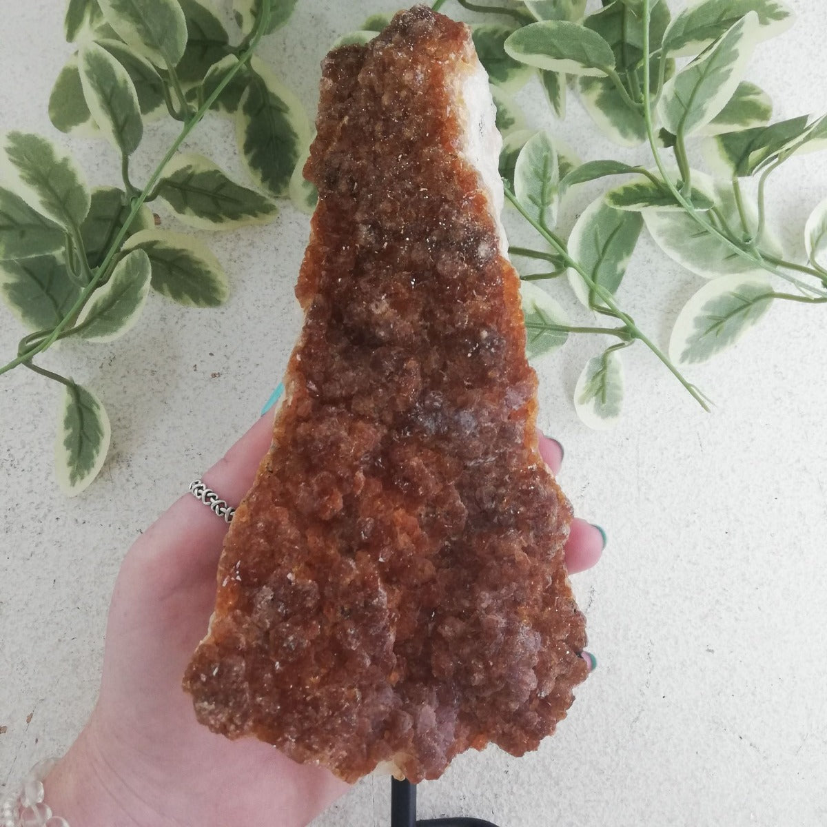Citrine Cluster On Stand - 05 Citrine Cluster On Stand - 05